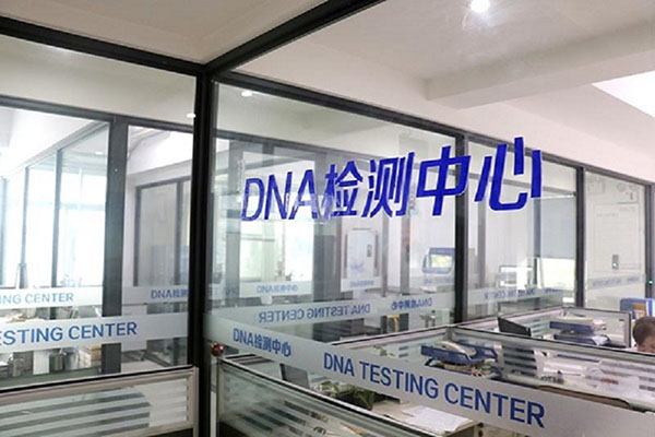 丹东亲子DNA鉴定的结果如何解读？ 